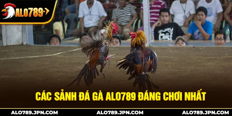 Các sảnh đá gà Alo789 đáng chơi nhất